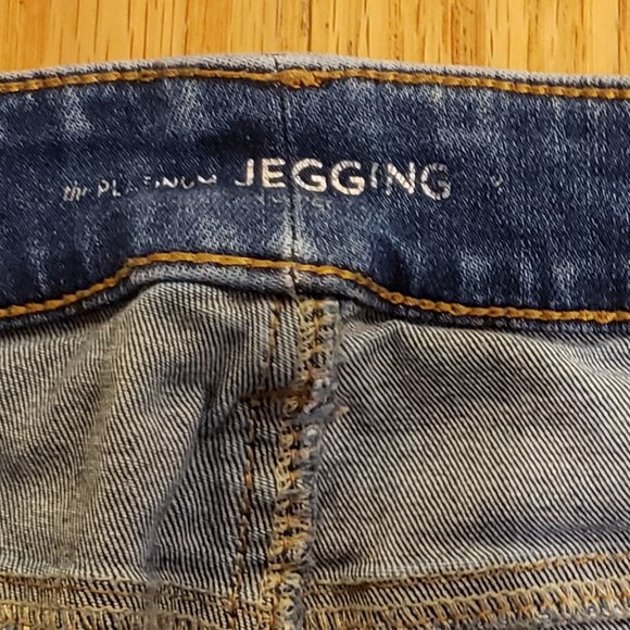 Chico's Platinum Zipper Front Blue Jegging - Size 3 (16) - Picture 2 of 5